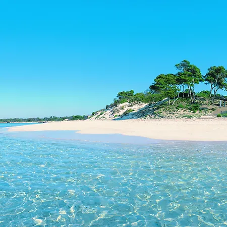 Blau Colonia Sant Jordi Otel